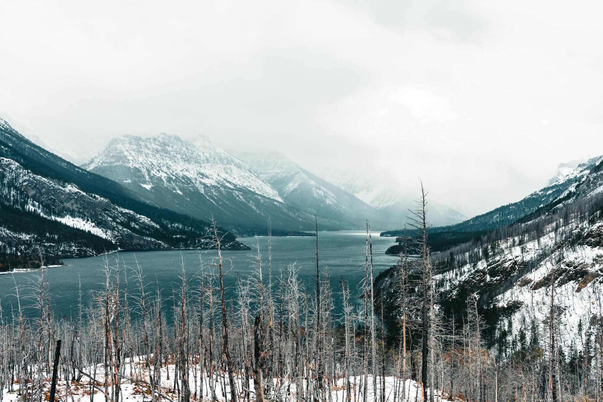 Header Background