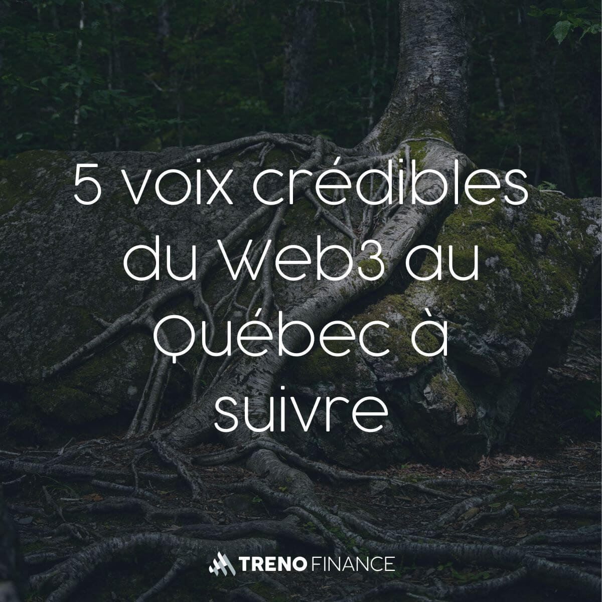 5 voix crédibles du Web3 au Québec à suivre - Web3