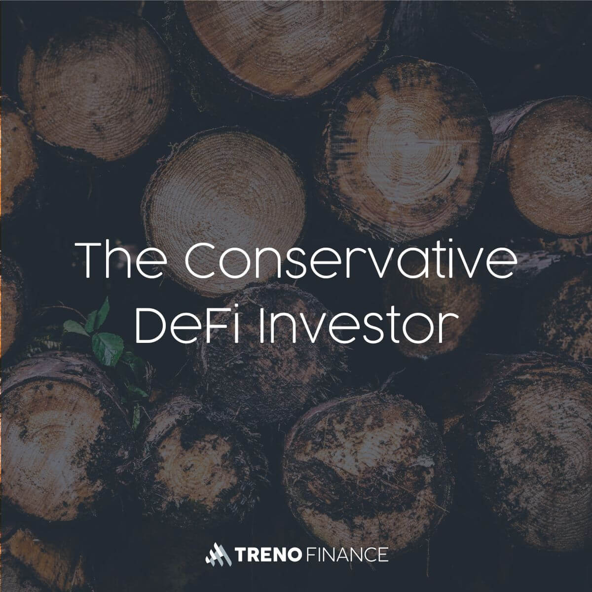 The Conservative DeFi Investor