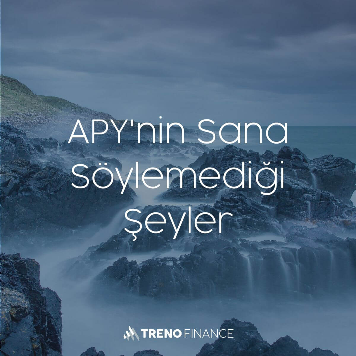 APY'nin Sana Söylemediği Şeyler