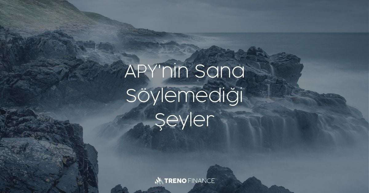 APY'nin Sana Söylemediği Şeyler
