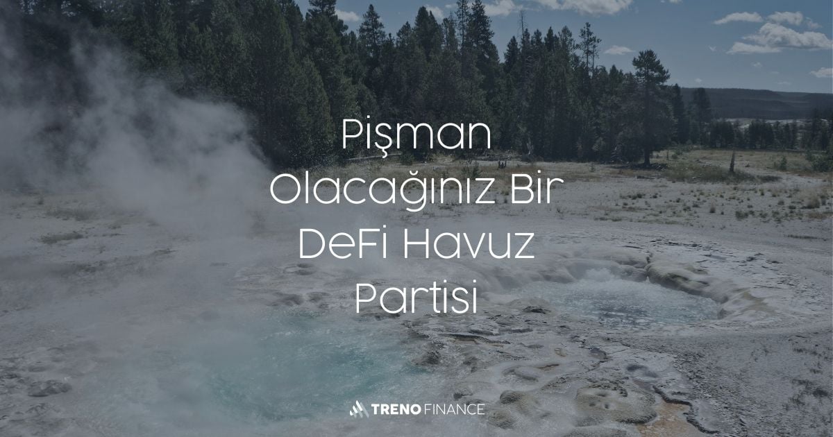 Pişman Olacağınız DeFi Havuz Partisi