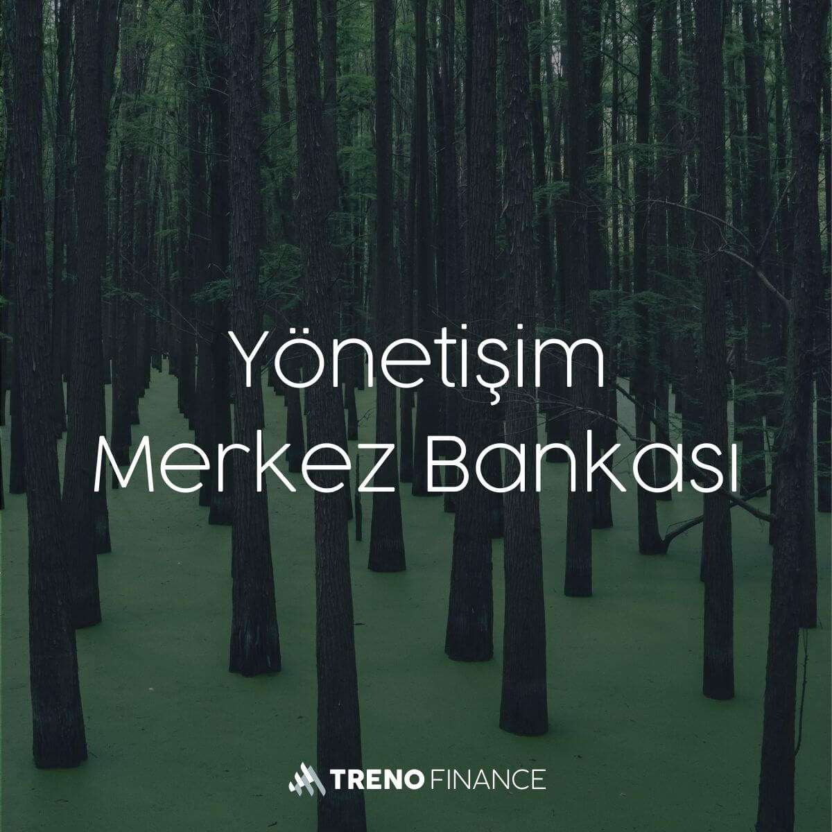 Yönetişim Merkez Bankası