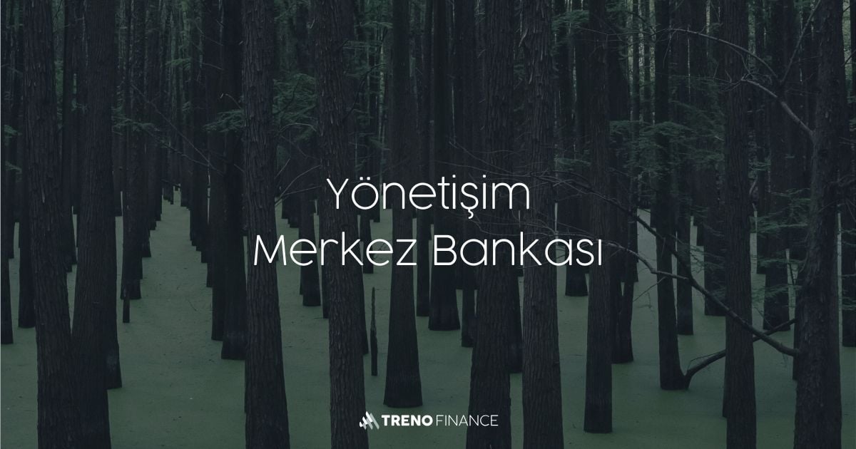 Yönetişim Merkez Bankası - DeFi