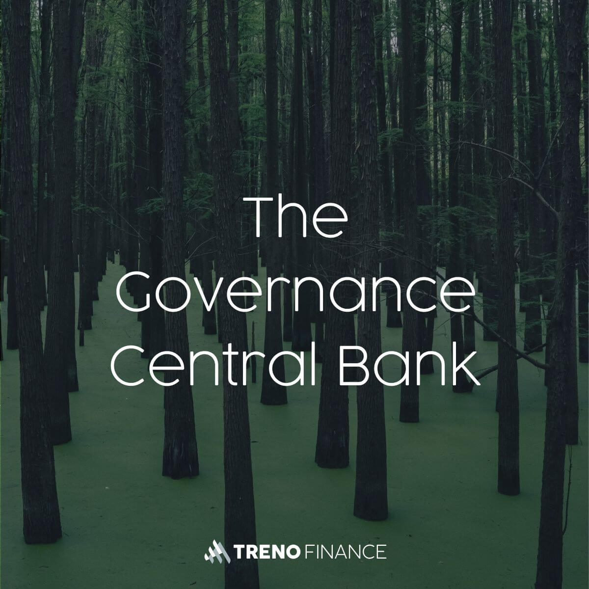 The Governance Central Bank
