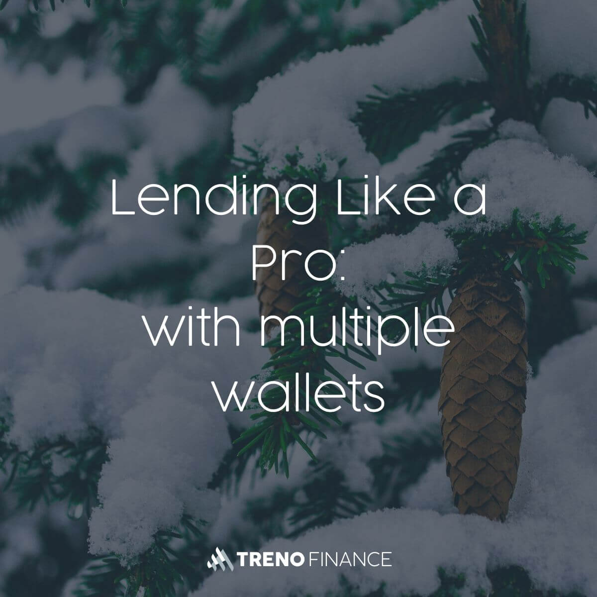 Lending Like a Pro with multiple wallets