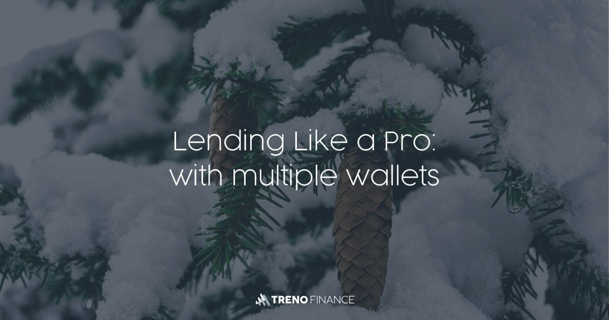 Efficient Lending Management with Multi-Wallet Portfolios