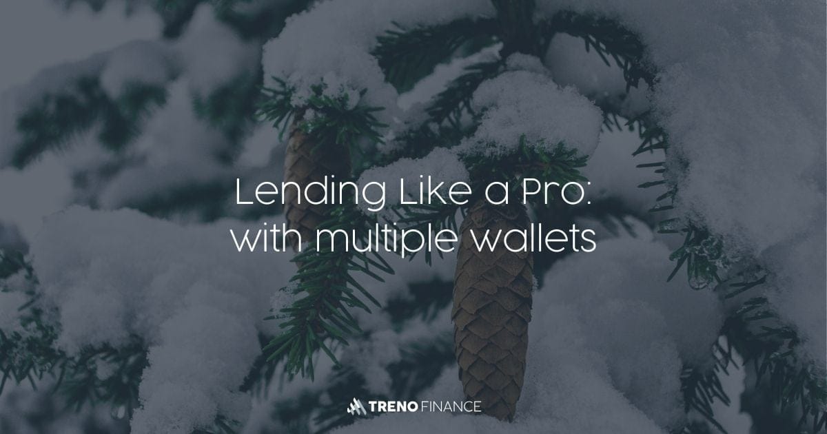 Efficient Lending Management with Multi-Wallet Portfolios - Lending