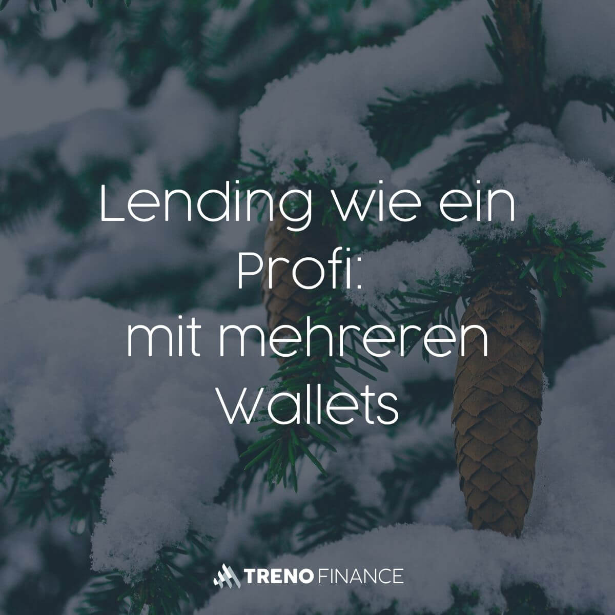 Lending wie ein Profi, mit mehreren Wallets