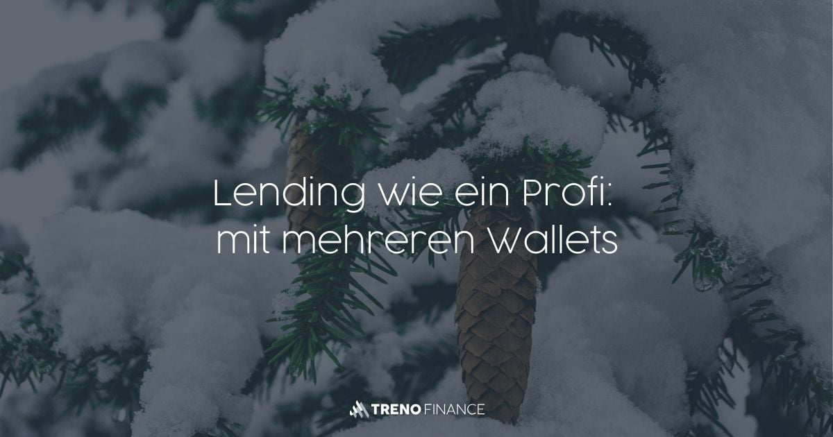 Effizientes Lending-Management mit Multi-Wallet-Portfolios - Lending