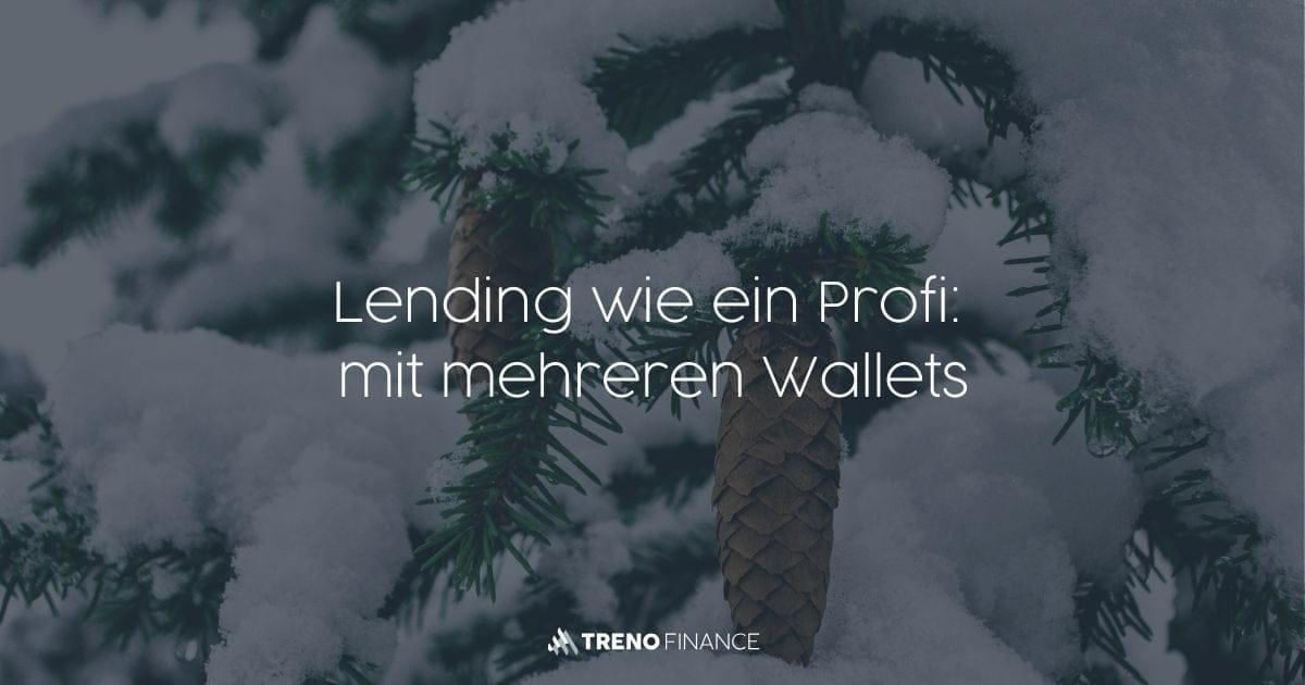 Effizientes Lending-Management mit Multi-Wallet-Portfolios