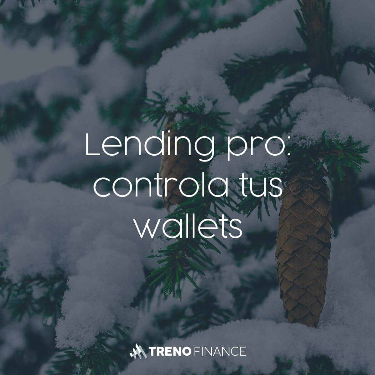 Lending pro: controla tus wallets