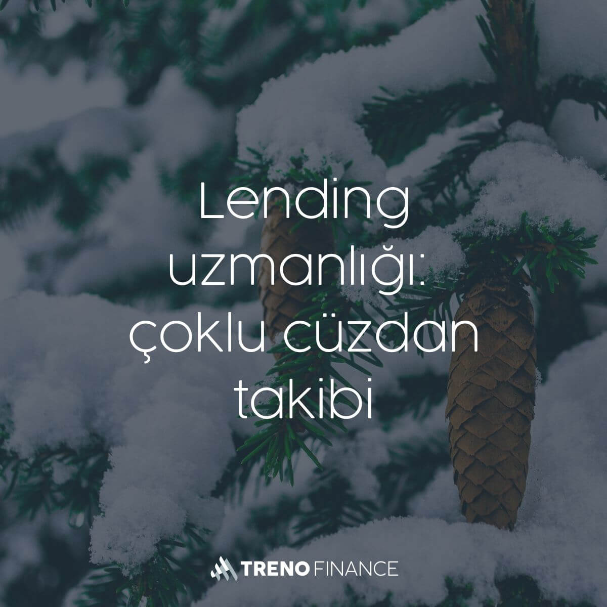 Profesyonel Gibi Lending: Çoklu Cüzdan Portföylerini Takip Et