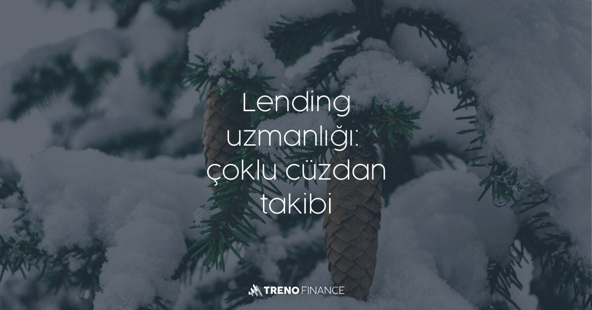 Çoklu Cüzdan Portföyleri ile Verimli Lending Yönetimi - Borç verme