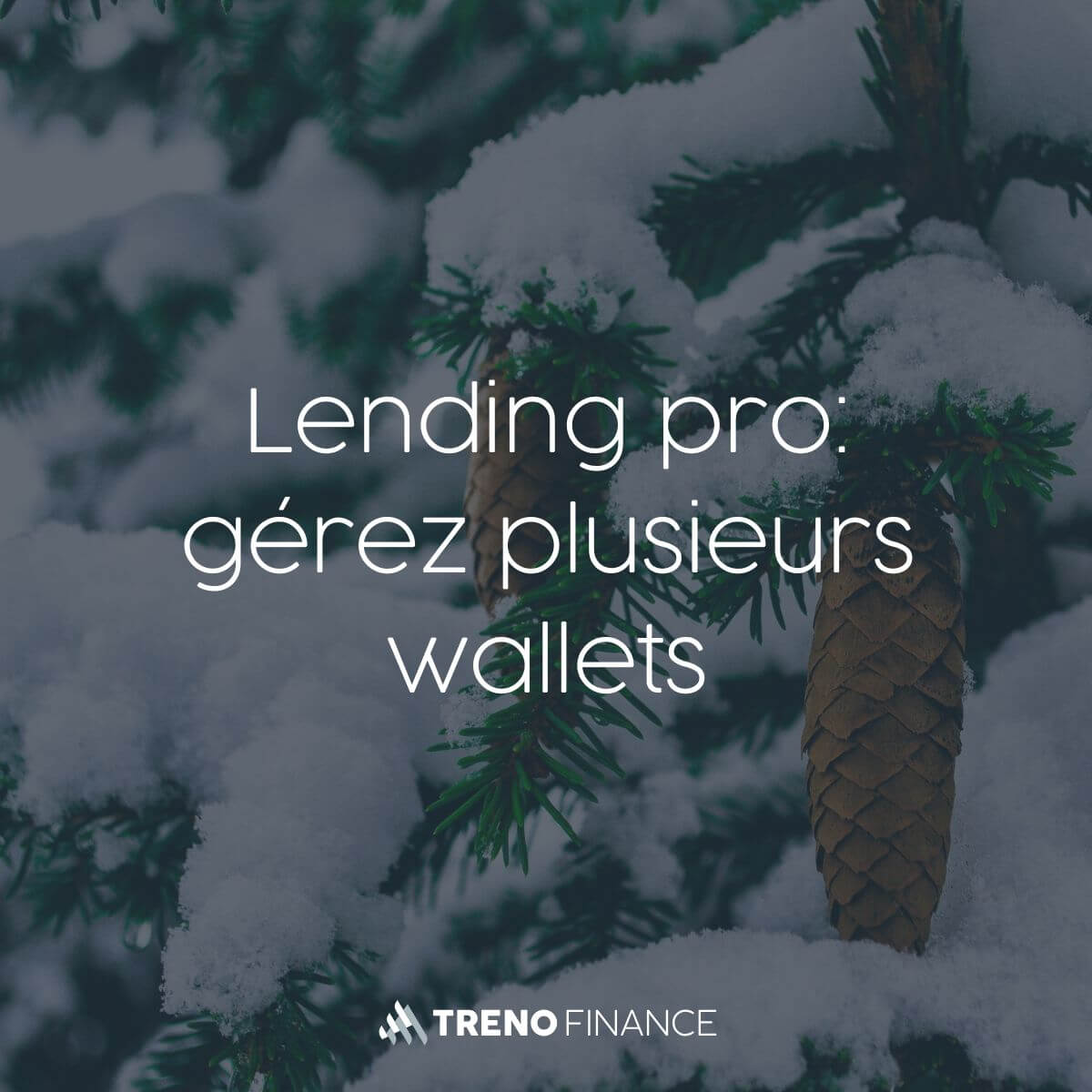 Lending pro : gérez plusieurs wallets