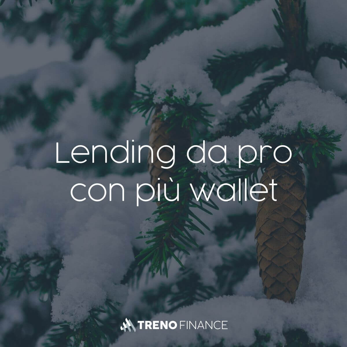 Lending da pro con più wallet - Prestiti