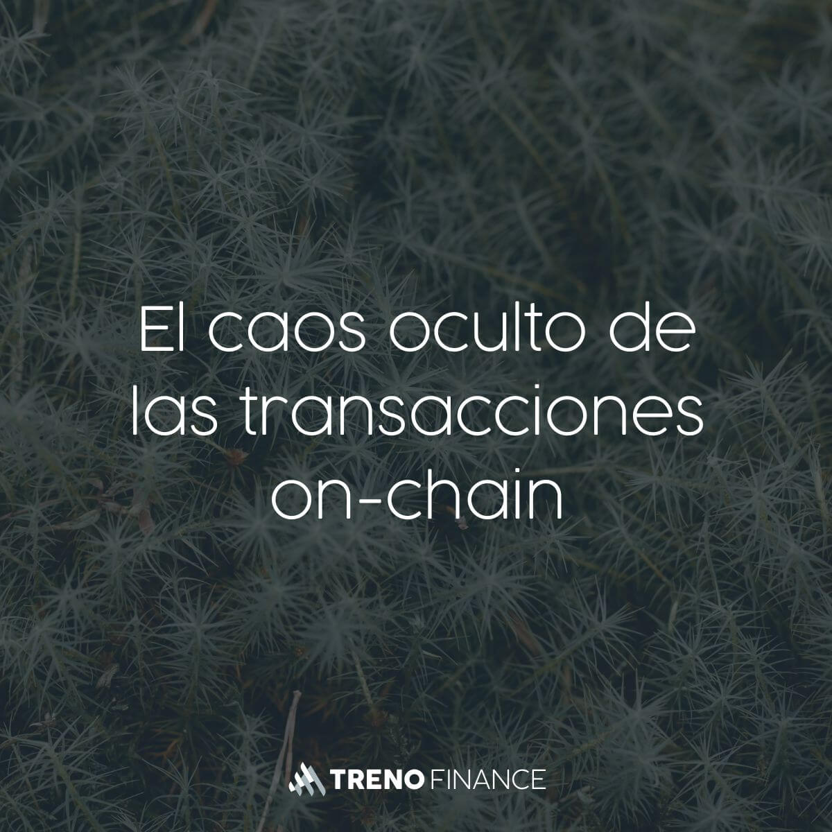 El caos oculto de las transacciones on-chain
