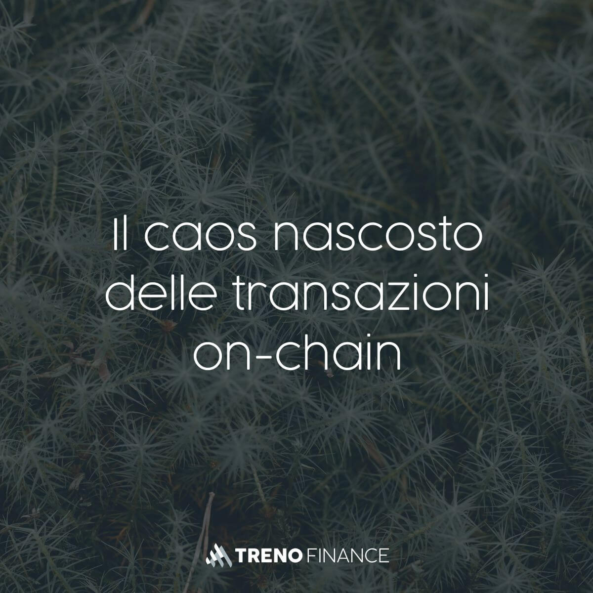Il caos nascosto delle transazioni on-chain