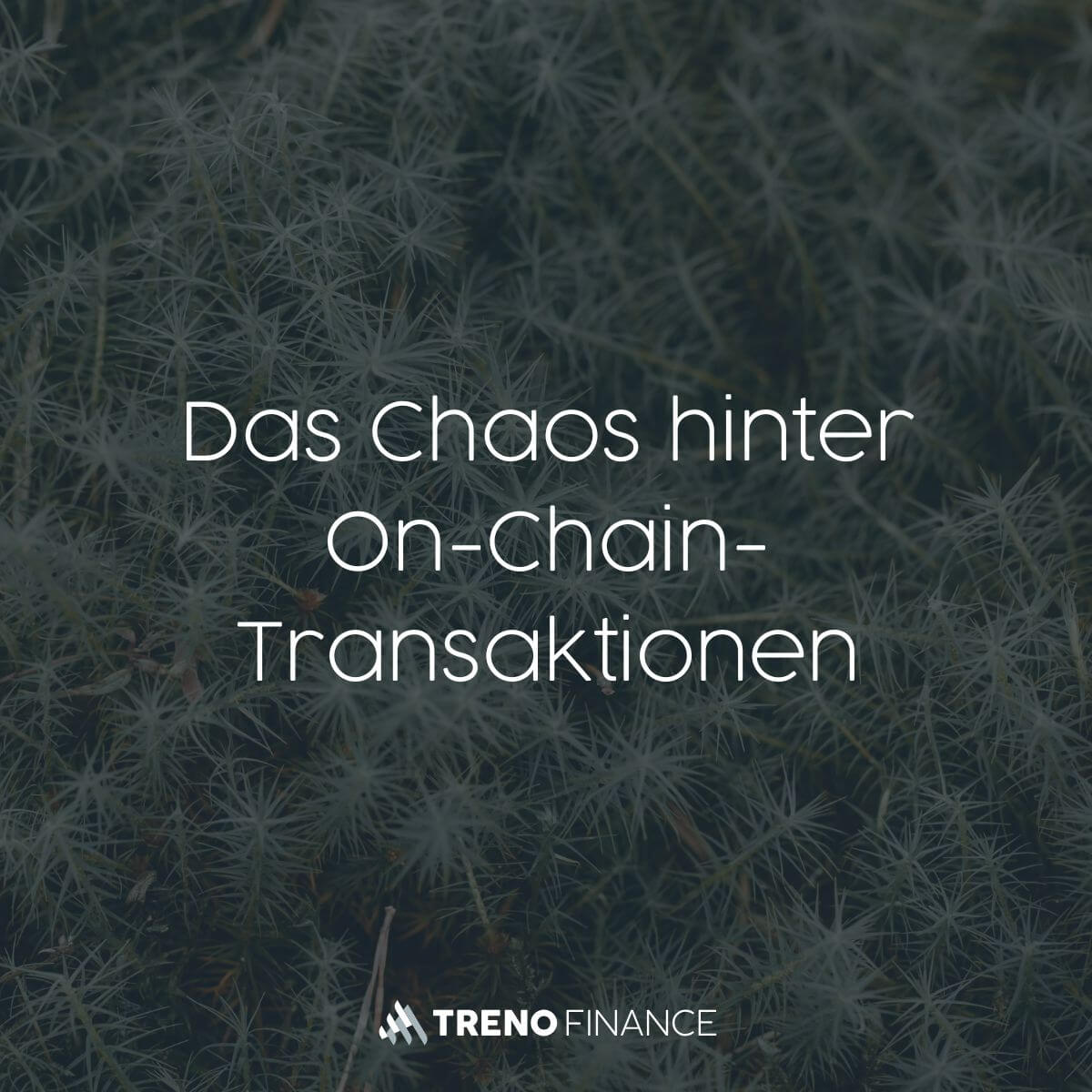 Das Chaos hinter On-Chain-Transaktionen