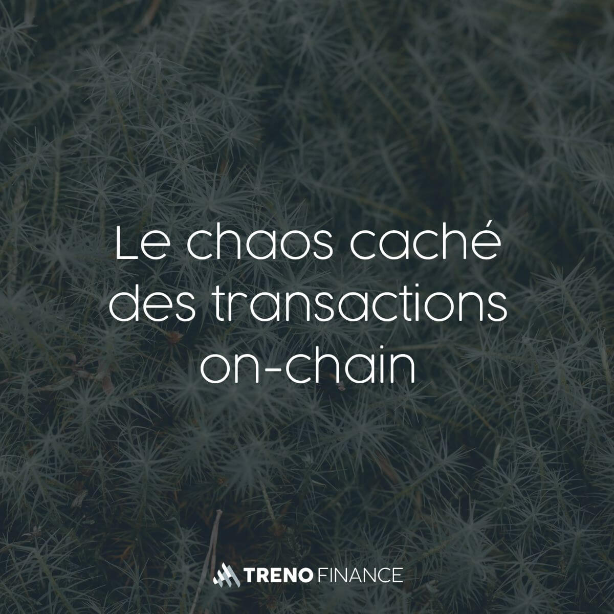 Le chaos caché des transactions on-chain