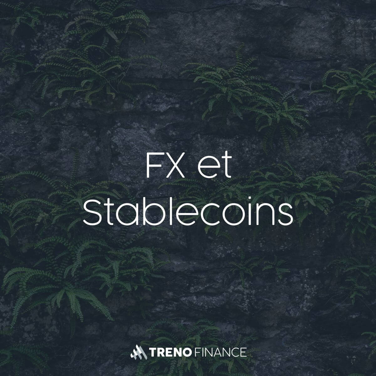 FX et Stablecoins