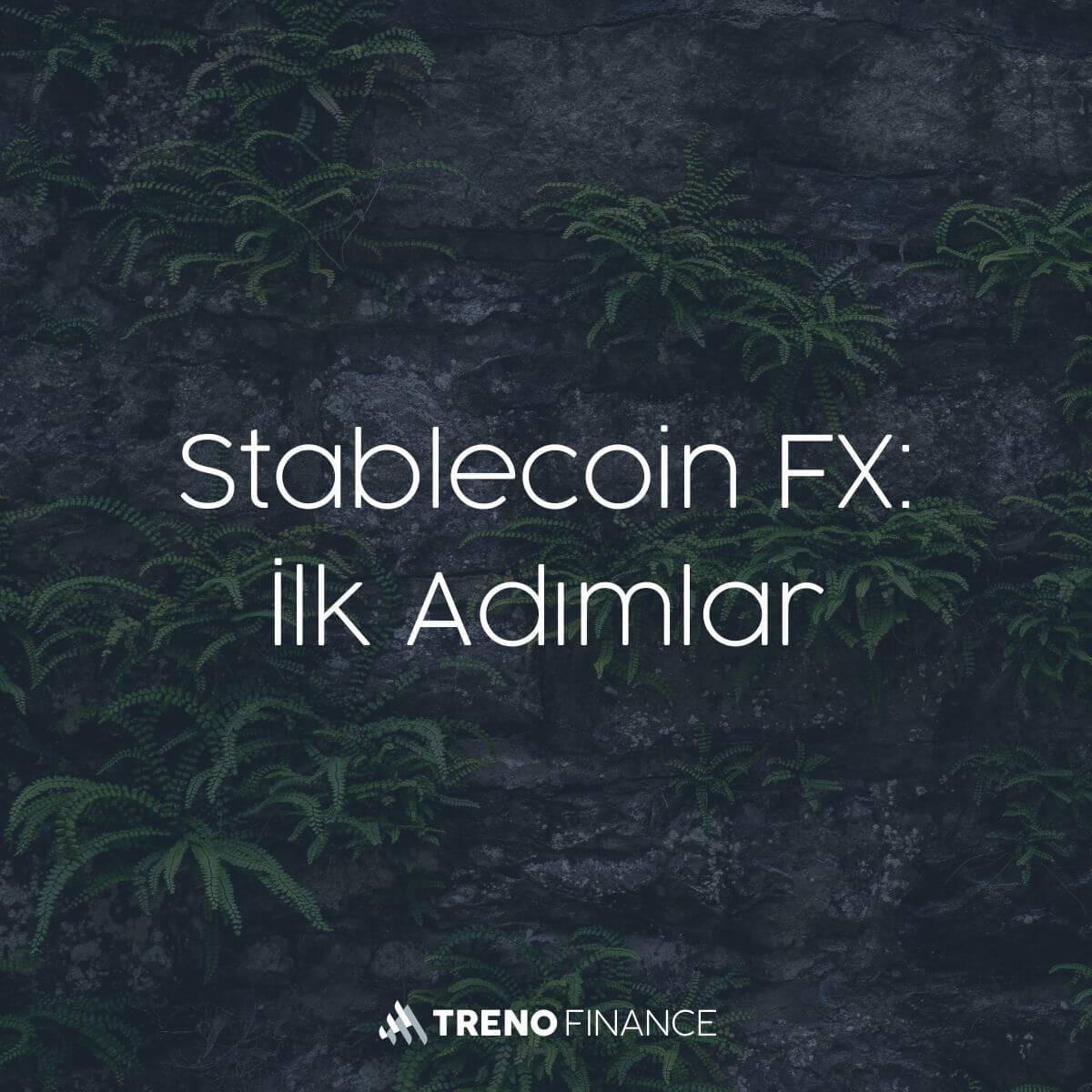 Stablecoin FX: İlk Adımlar