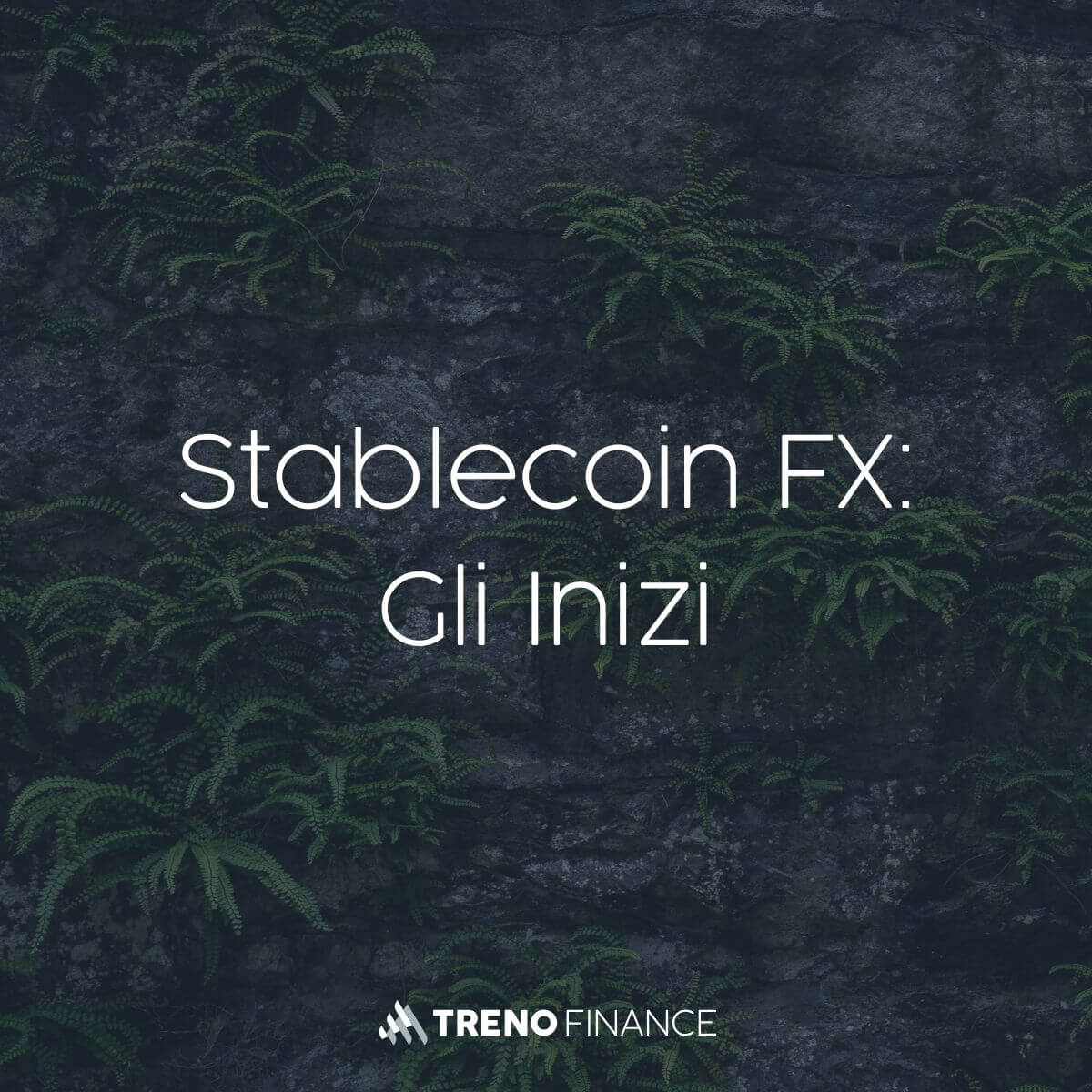 Stablecoin FX: Gli Inizi