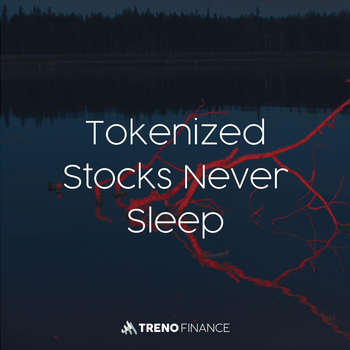 Tokenized Stocks Never Sleep - Rwa