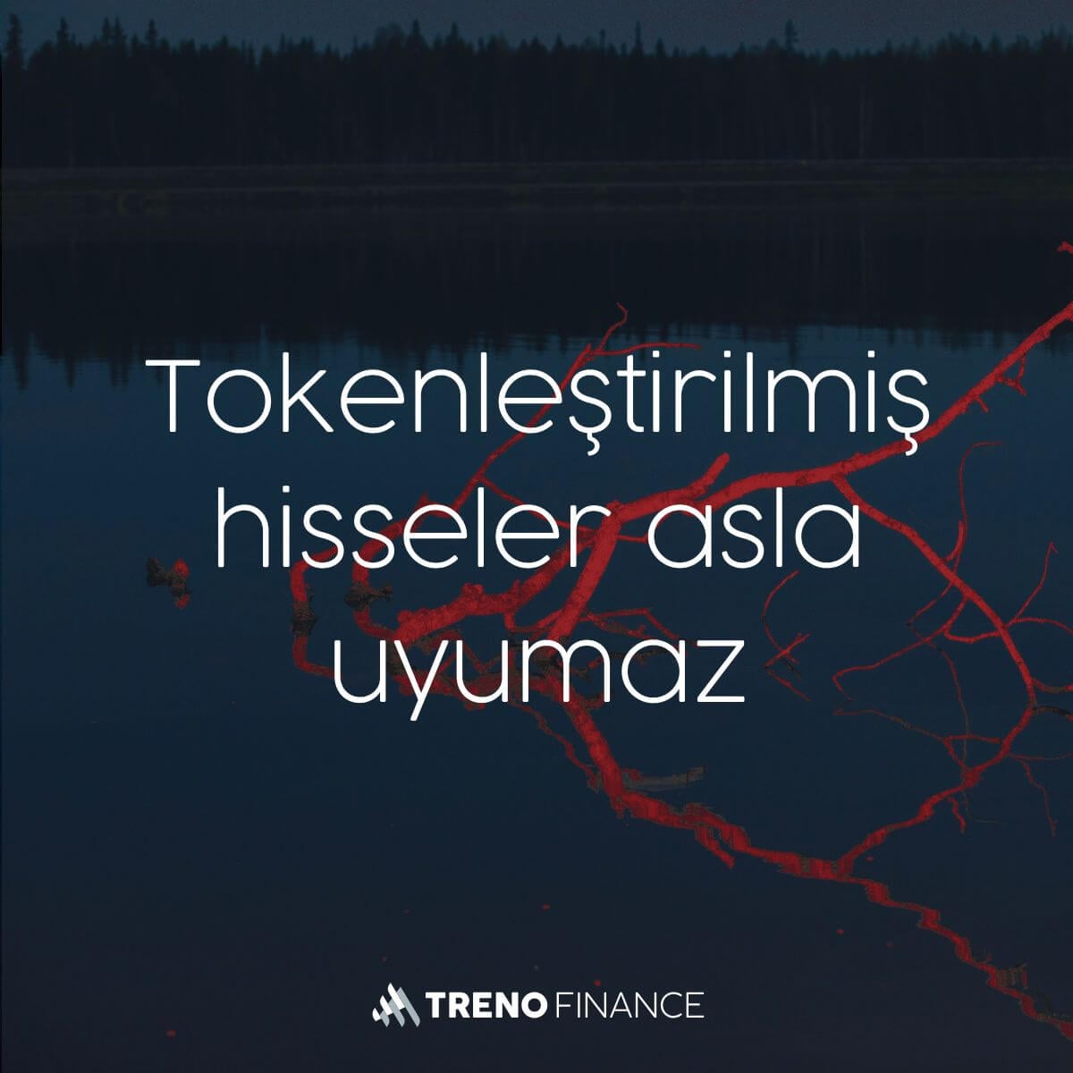 Tokenleştirilmiş hisseler asla uyumaz - Gerçek varlıklar