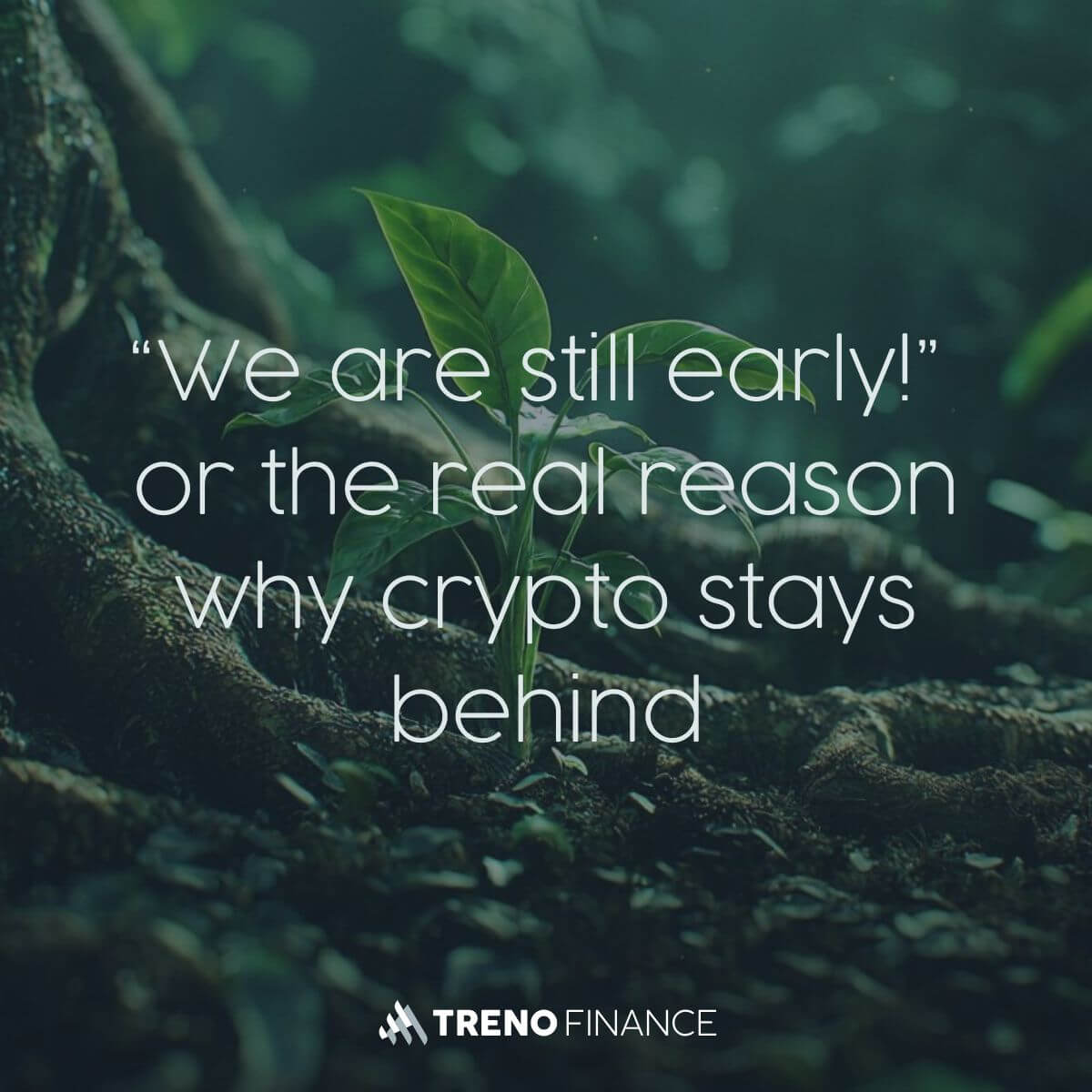 “We are still early!” – or why crypto isn’t moving forward