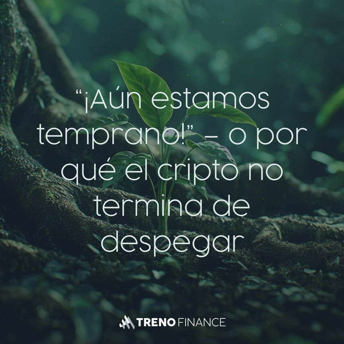 “¡Aún estamos temprano!” – o por qué el cripto no termina de despegar