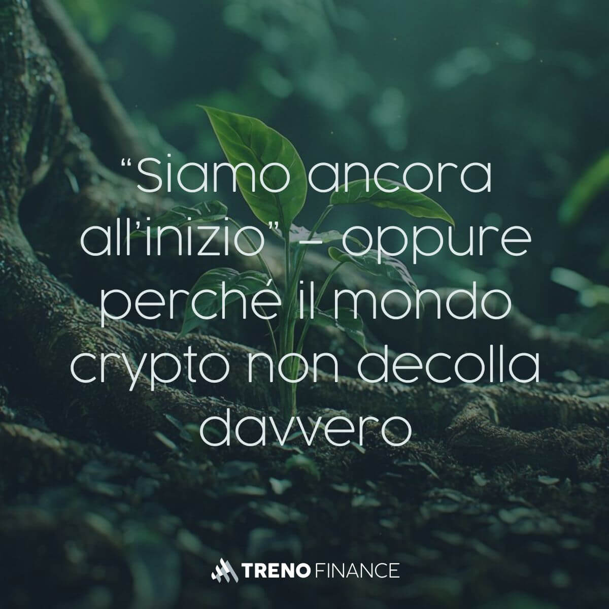 “Siamo ancora all’inizio” – oppure perché il mondo crypto non decolla davvero