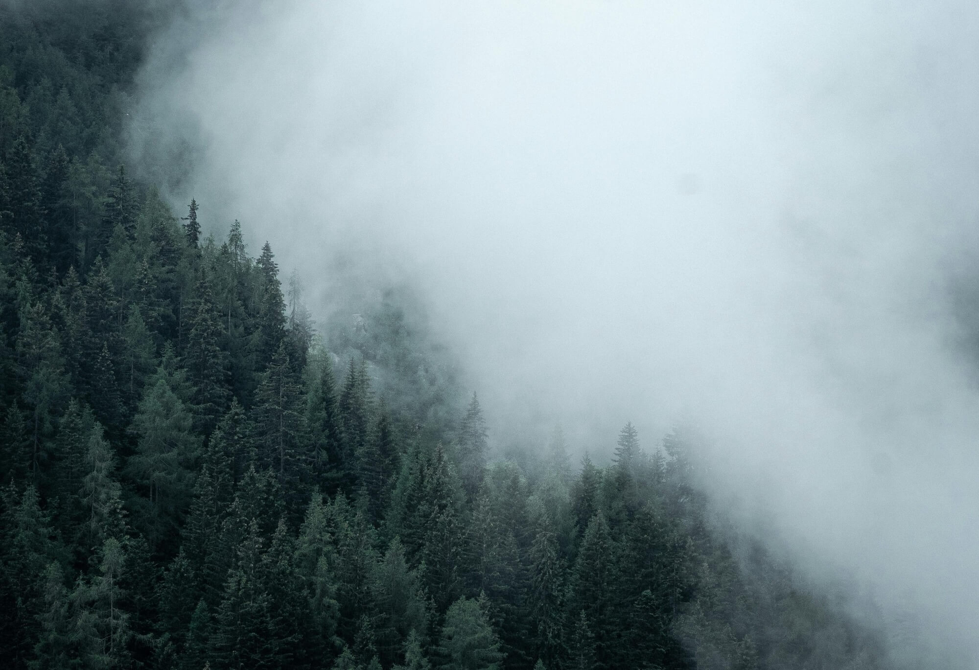 Header Background
