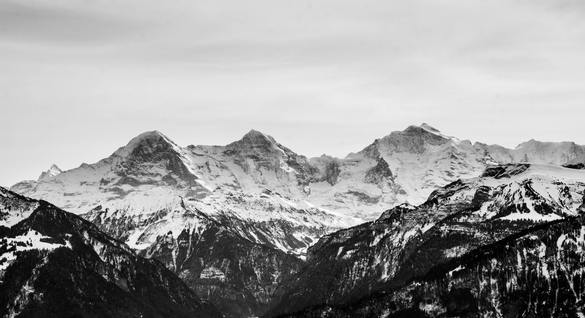 Header Background
