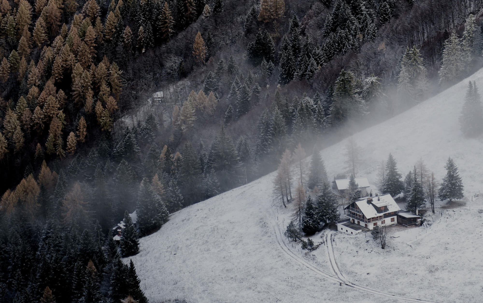 Header Background